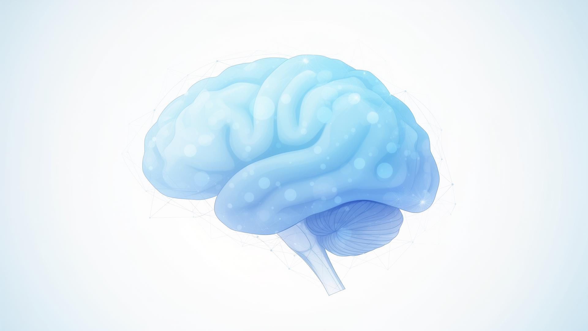 Ilustracja mózgu symbolizująca diagnostykę neuropsychologiczną